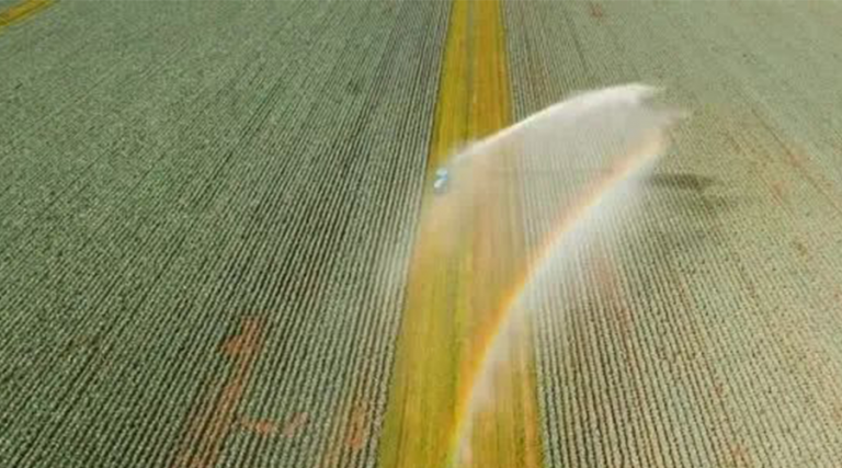 Automatic Control In Water Saving Irrigation System Asmik Supplier